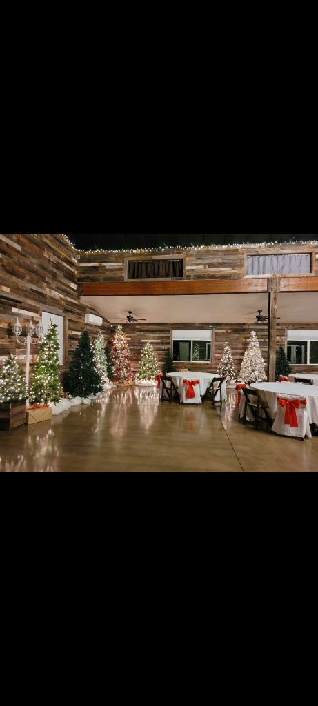 rustic-barn-wedding, rustic-christmas-trees-wedding, christmas-wedding, high-end-event-space, industrial-chic-ballroom, grand-chandelier-lighting, luxury-wedding-reception, christmas-trees-lights, christmas-bows,