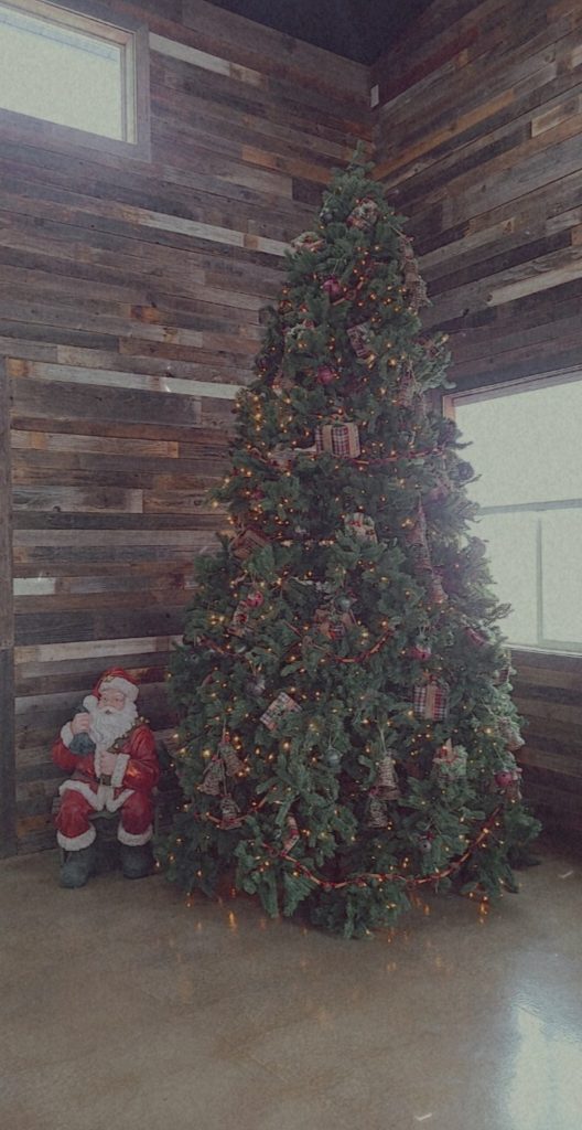 Christmas10