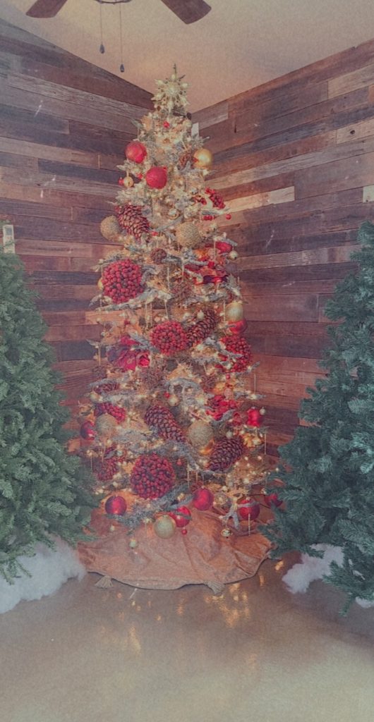 Christmas11