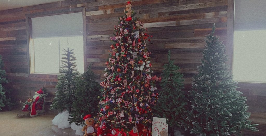Christmas6