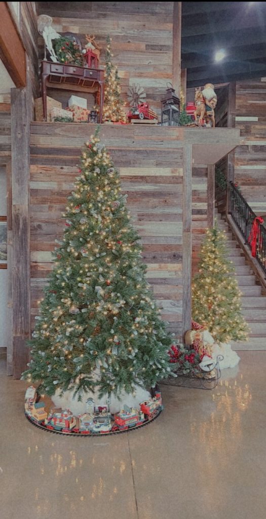 Christmas8
